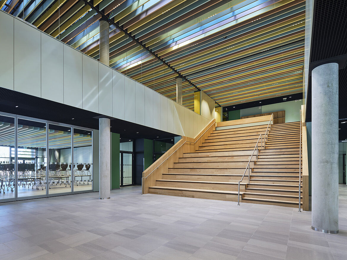 Marie-Curie School, Leipzig [DE] | POLYLAM-S vertical baffle system combined with PUNTEO-S25 downlights | Photo: Robert Gommlich